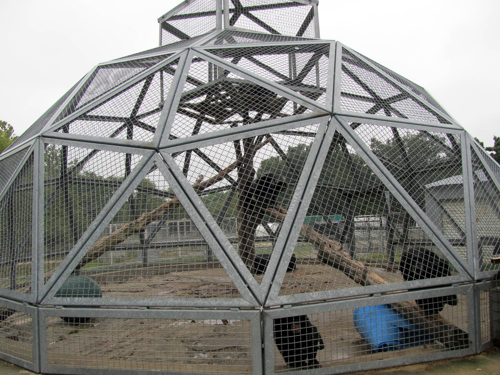 Savanahland Educational Park - Chimpanzee Exhibit