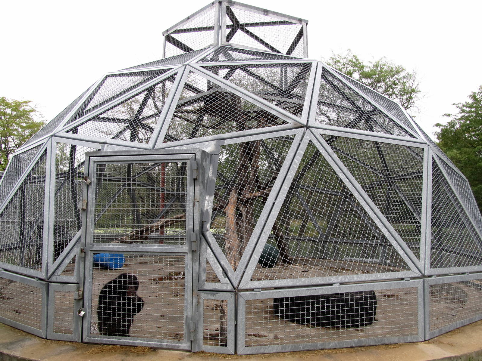 Savanahland Educational Park - Chimpanzee Exhibit