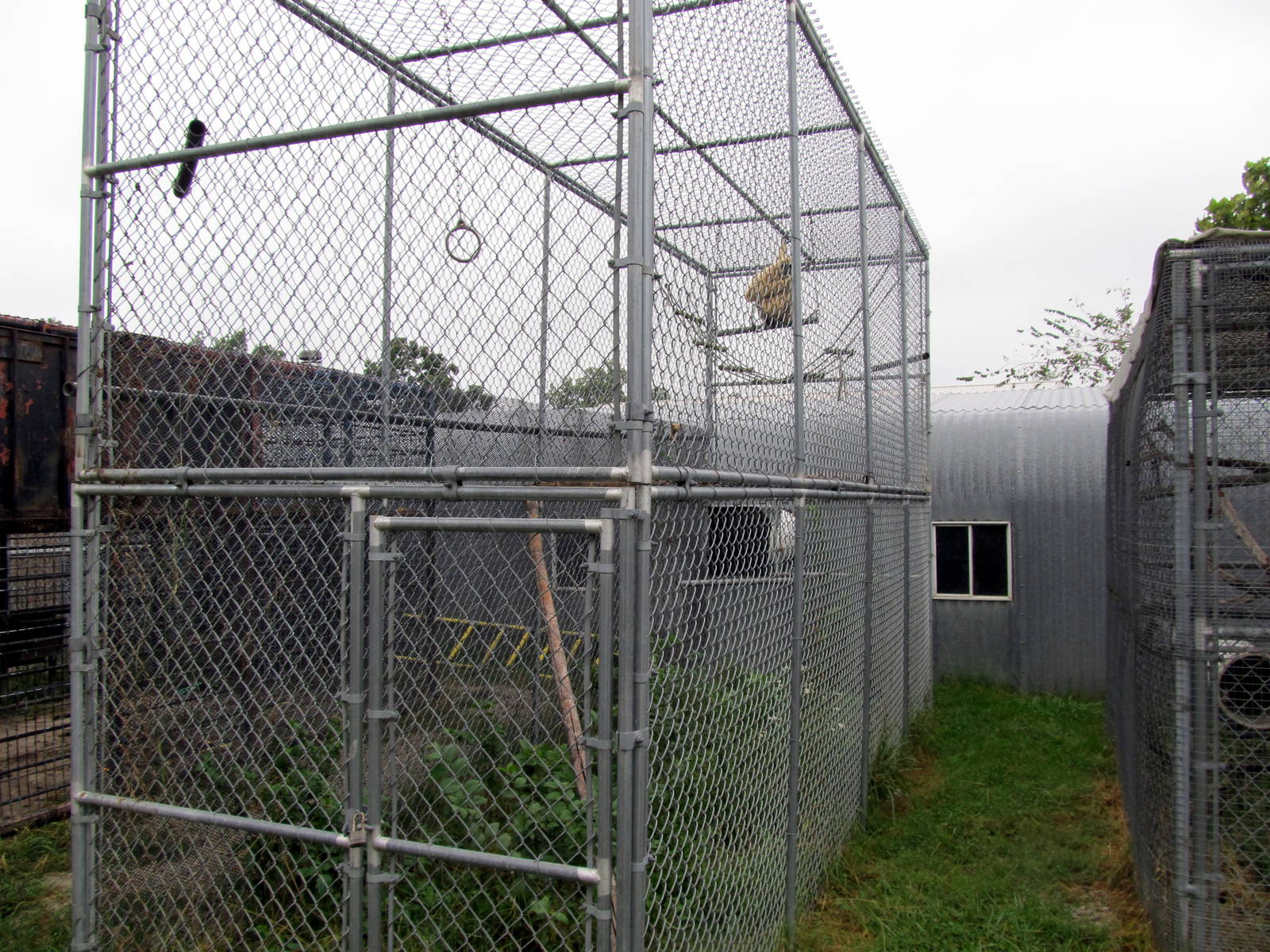 Savanahland Educational Park - Gibbon Exhibit