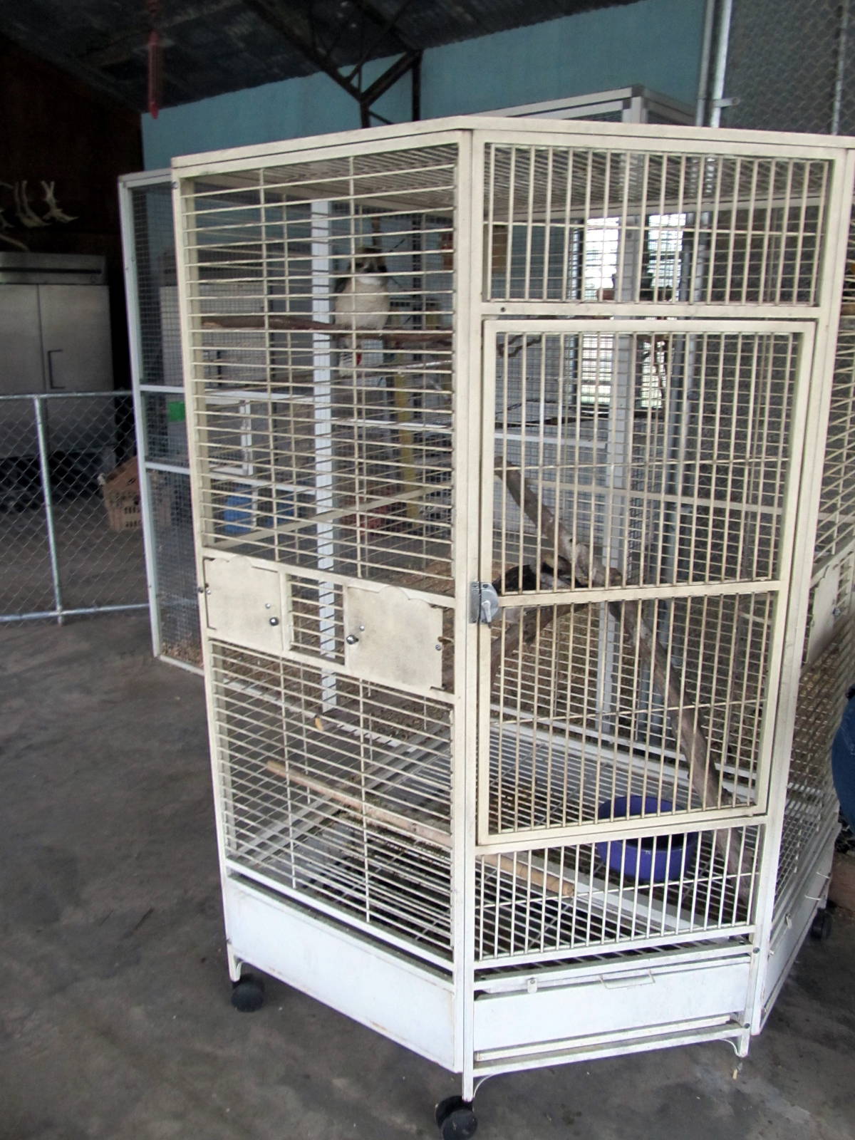 Savanahland Educational Park - Laughing Kookaburra Cage