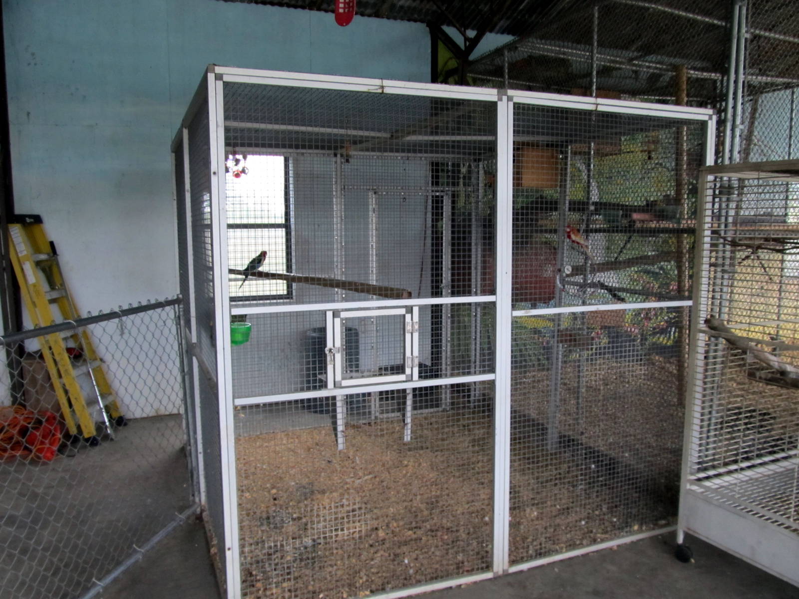 Savanahland Educational Park - Rosella Cage