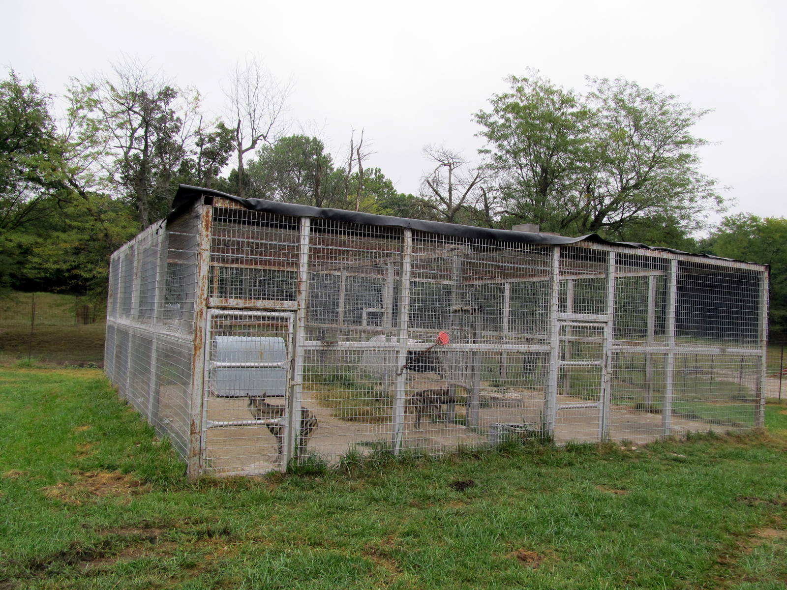 Savanahland Educational Park - Striped Hyena Exhibit