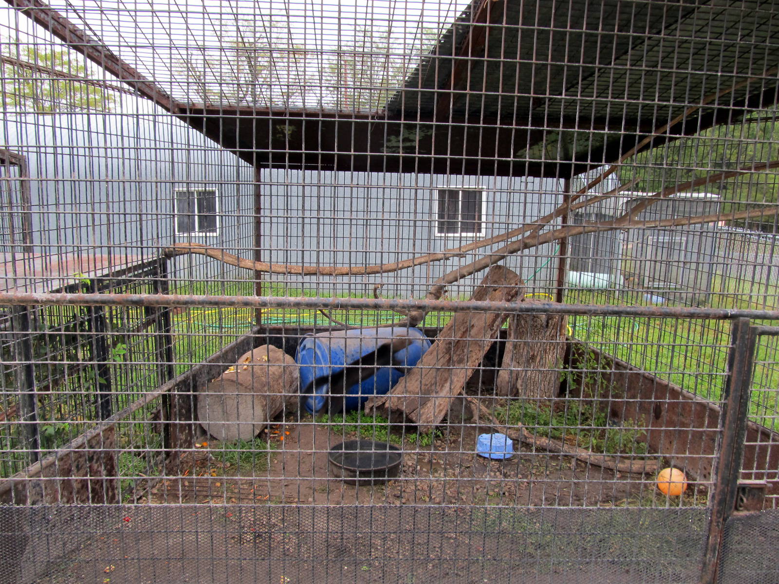 Savanahland Educational Park - Tayra Exhibit