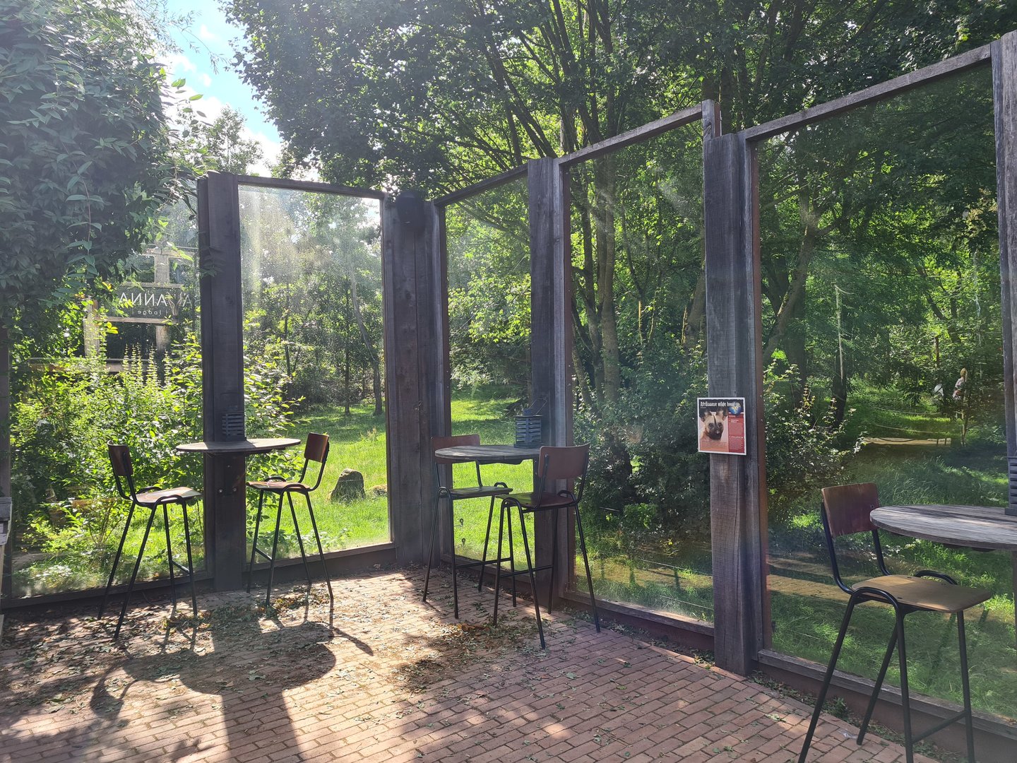 Savanna - African painted dog viewing area in restaurant