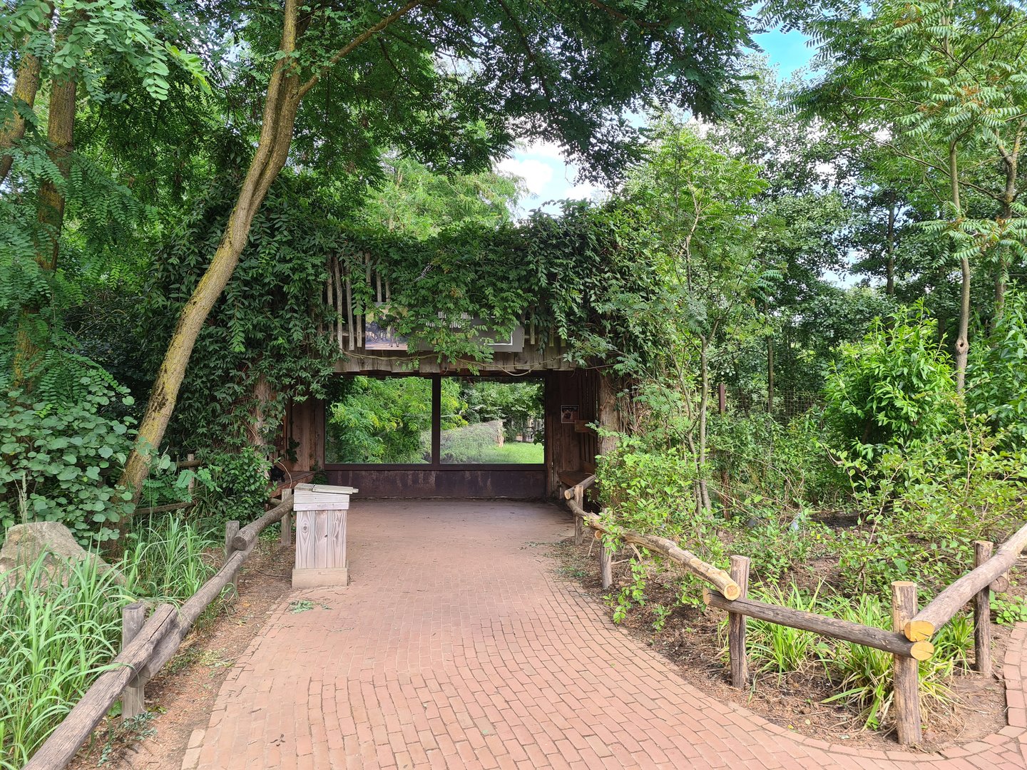 Savanna - African painted dog viewing area