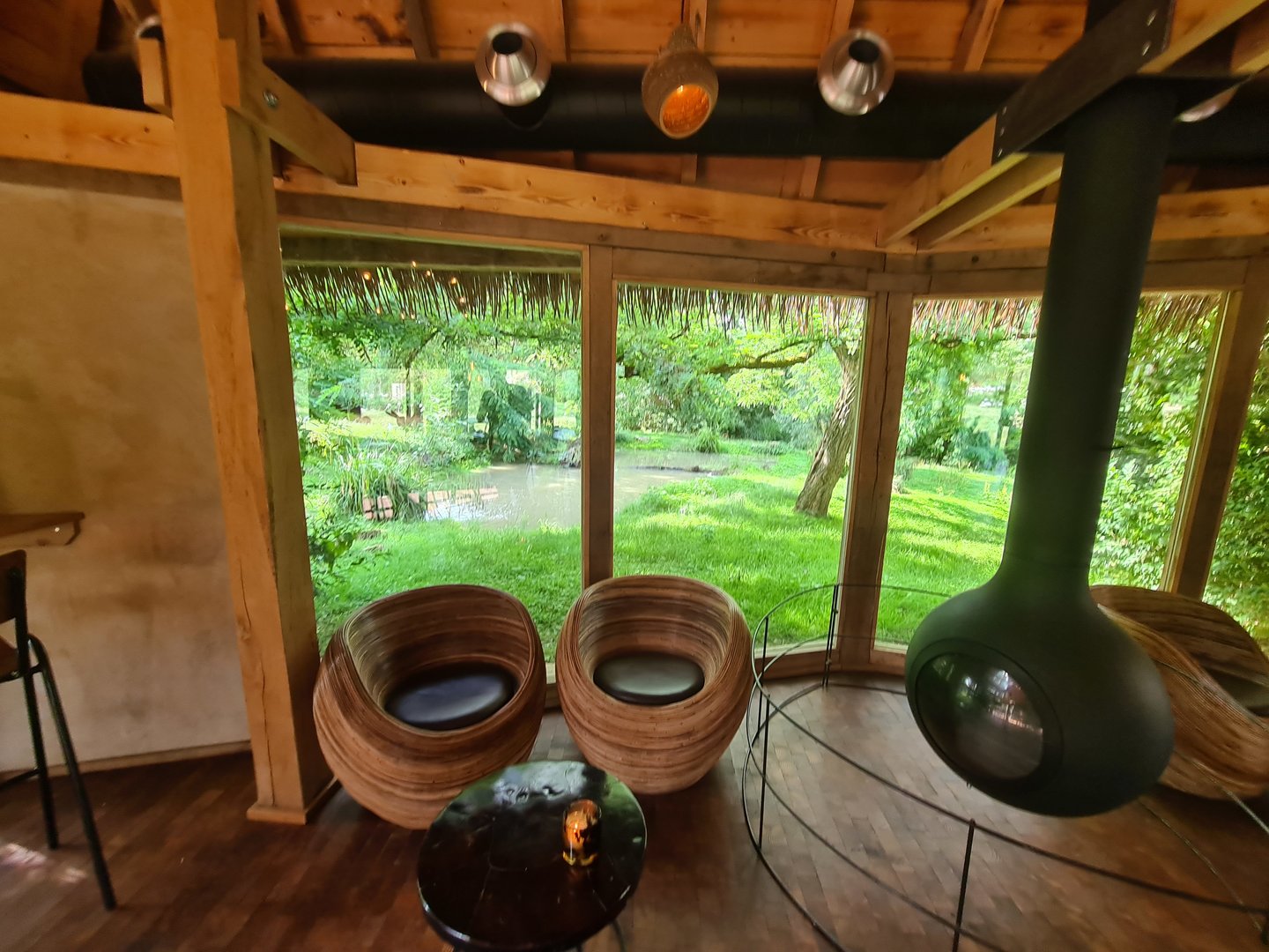 Savanna - African painted dog viewing in restaurant