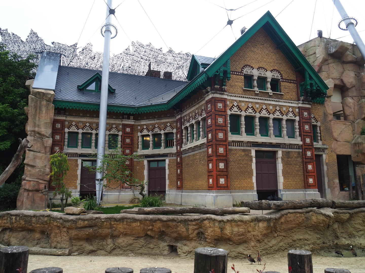 Savanna aviary bird house - Former rhinoceros house, 2020-05-24