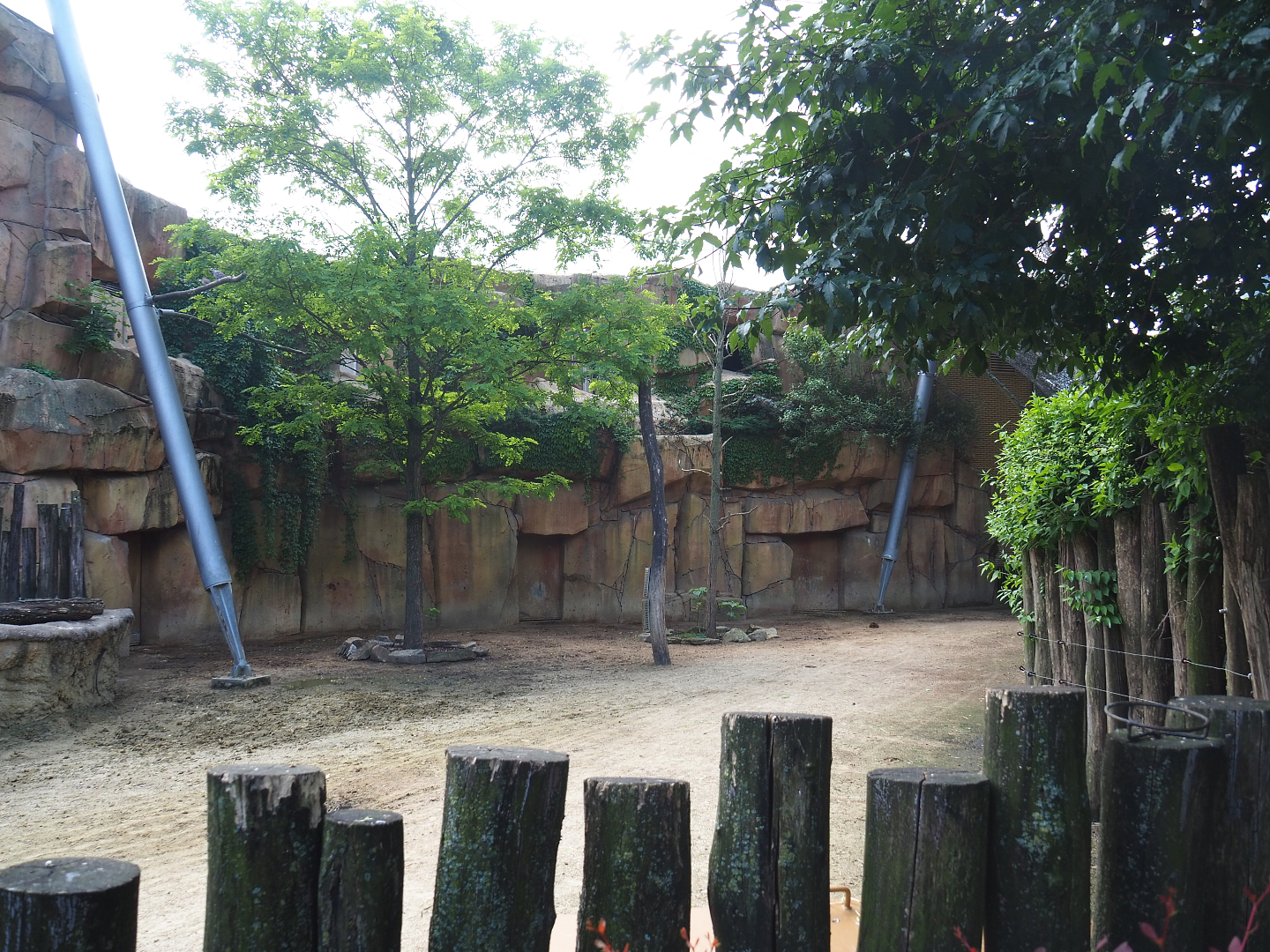 Savanna aviary - Buffalo and bird house and part of the Cape buffalo paddock, 2022-05-26