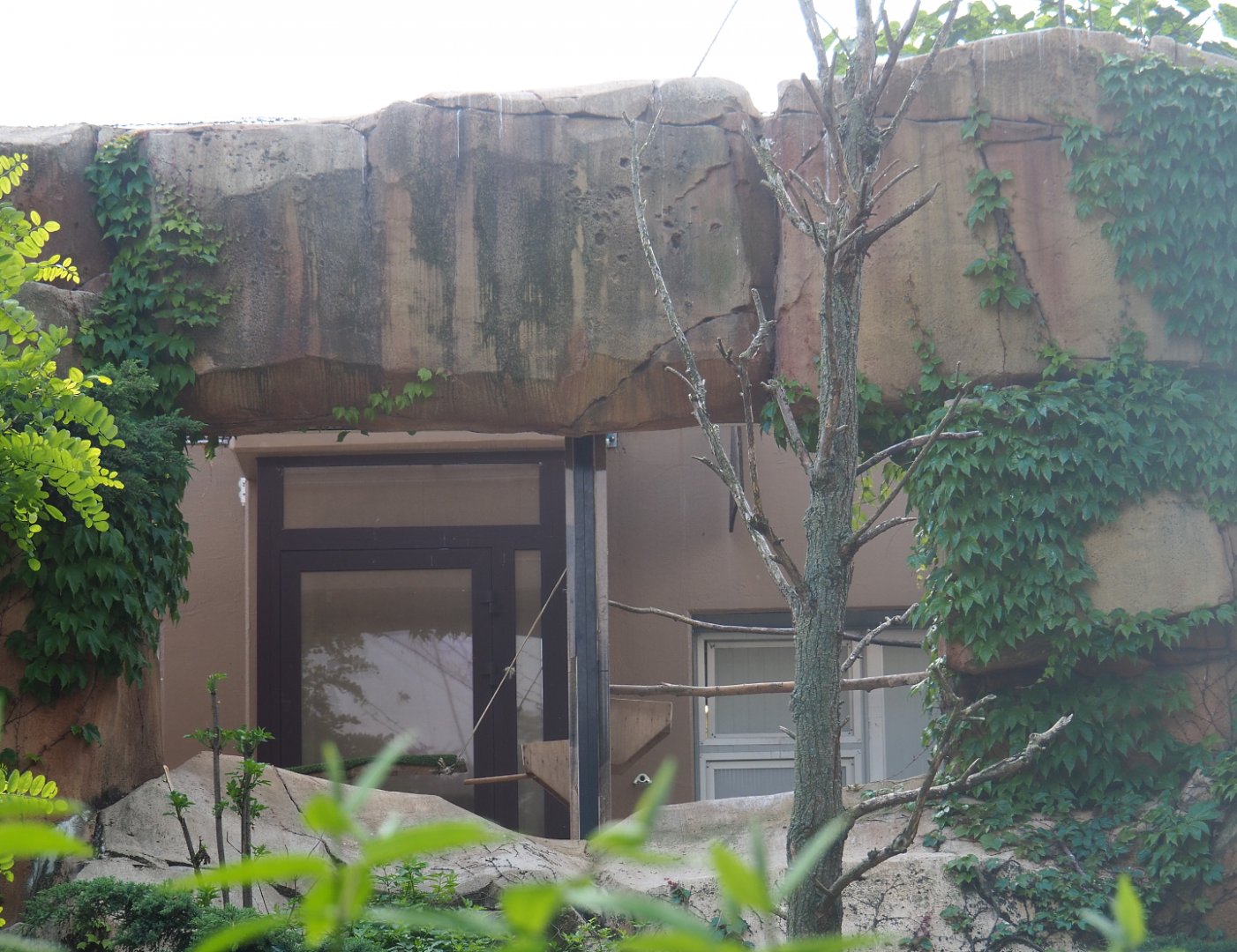 Savanna aviary - Entrance cage/Separation aviary between bird house and main aviary, 2022-05-26