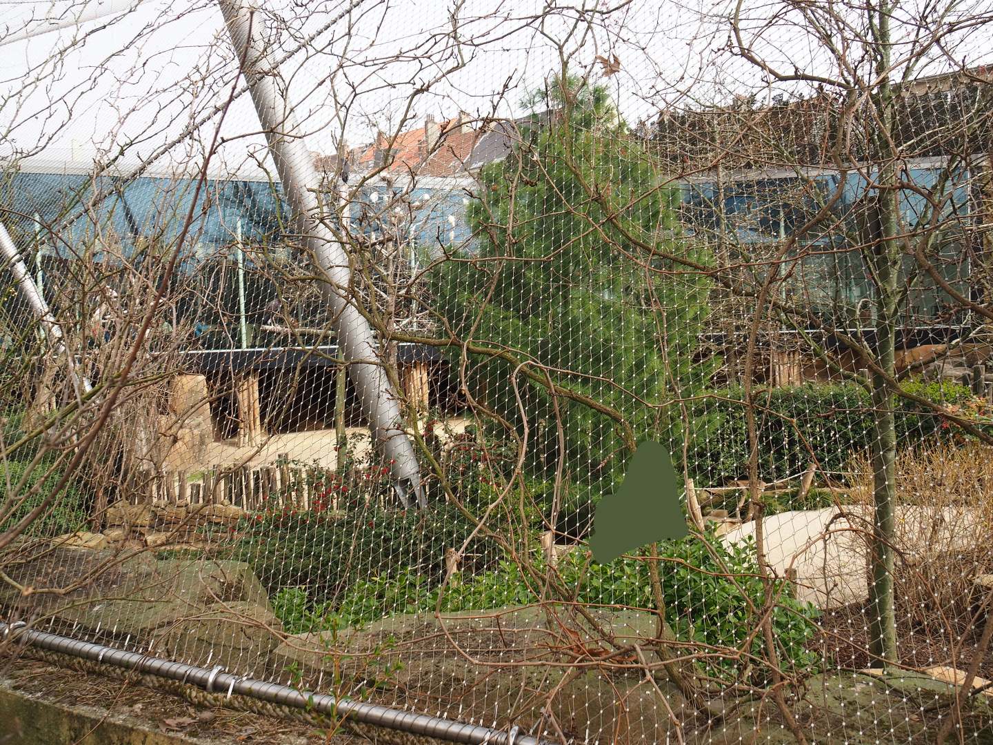 Savanna Aviary, seen from the outside, 2022-03-16