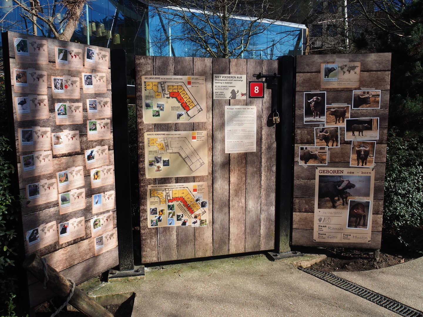 Savanna aviary signage, 2019-04-20