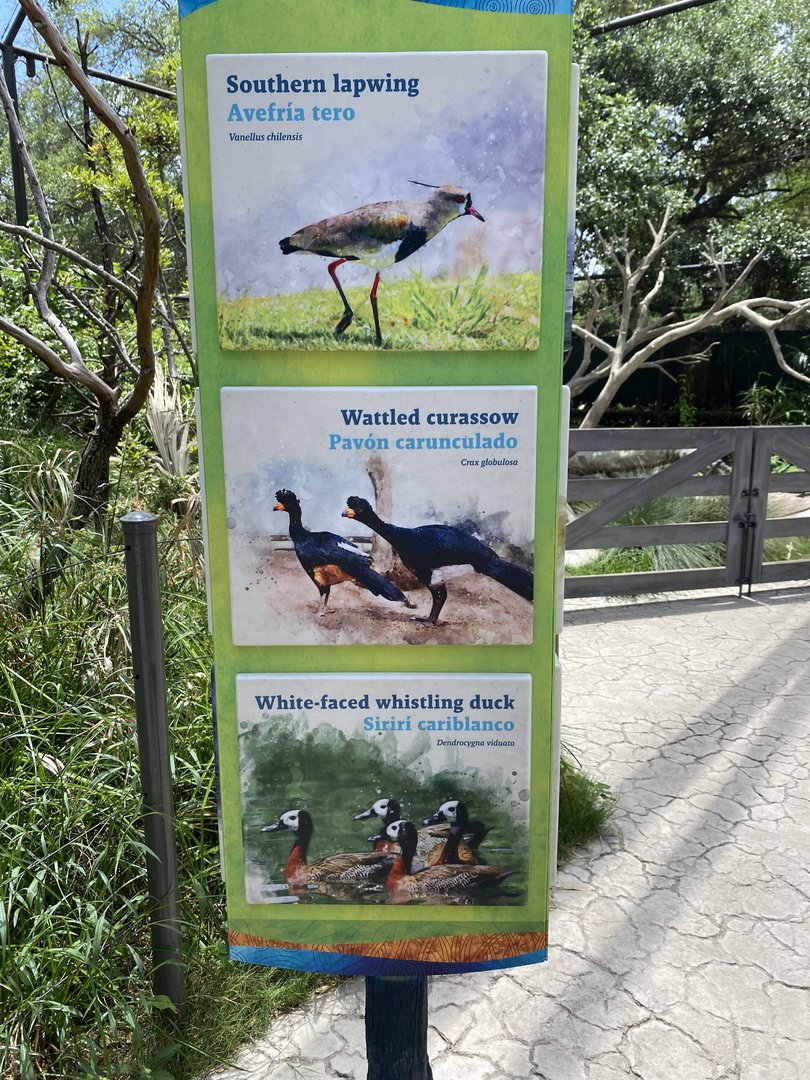 Savanna Aviary Species List