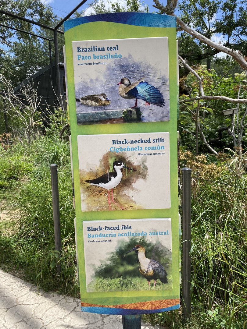 Savanna Aviary Species List