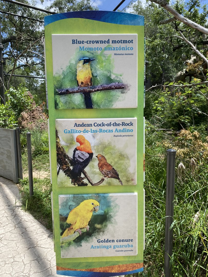 Savanna Aviary Species List