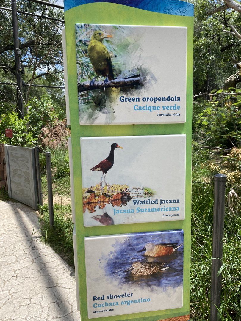 Savanna Aviary Species List