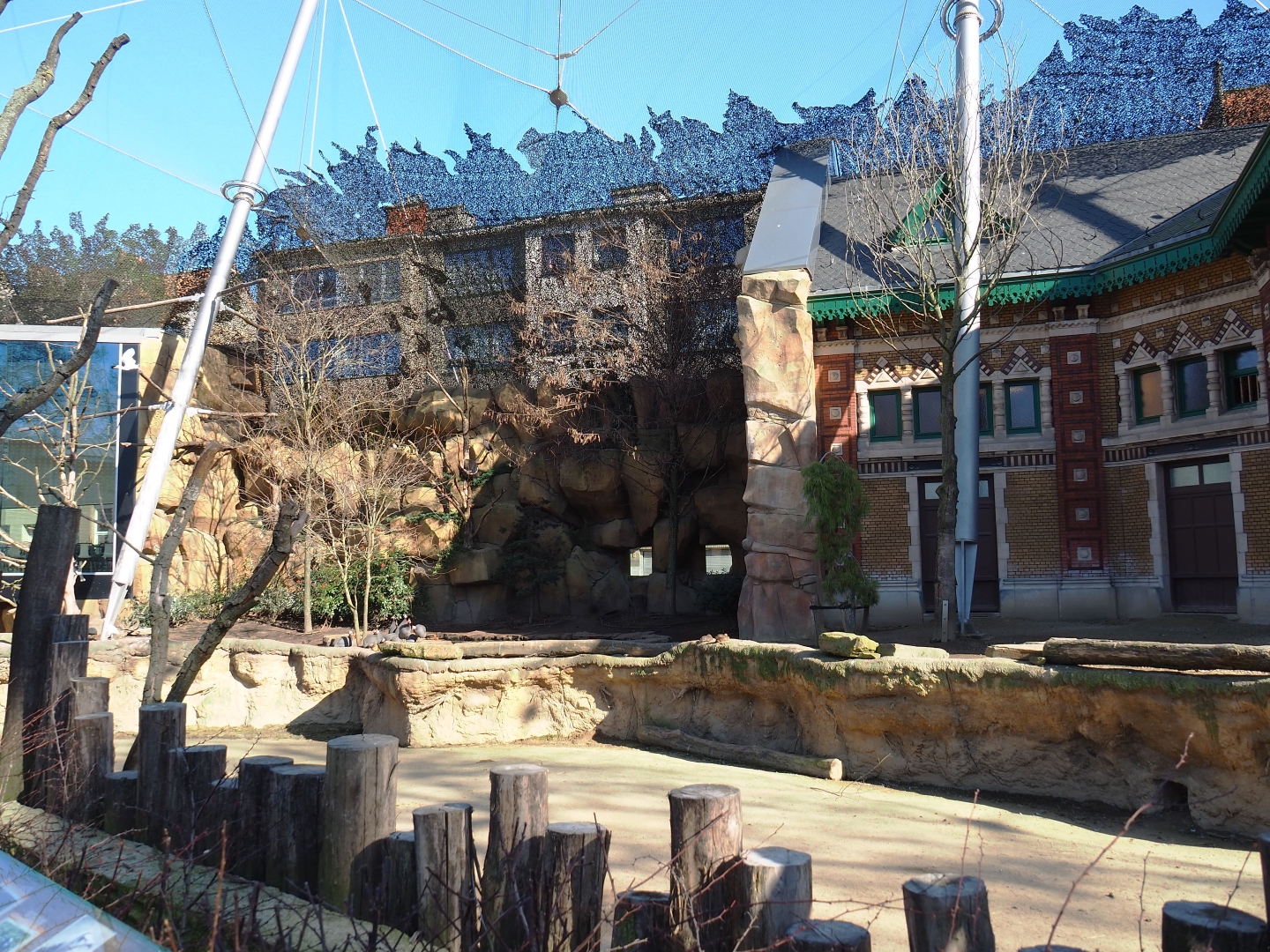 Savanna aviary with Cape buffalos and African birds, 2019