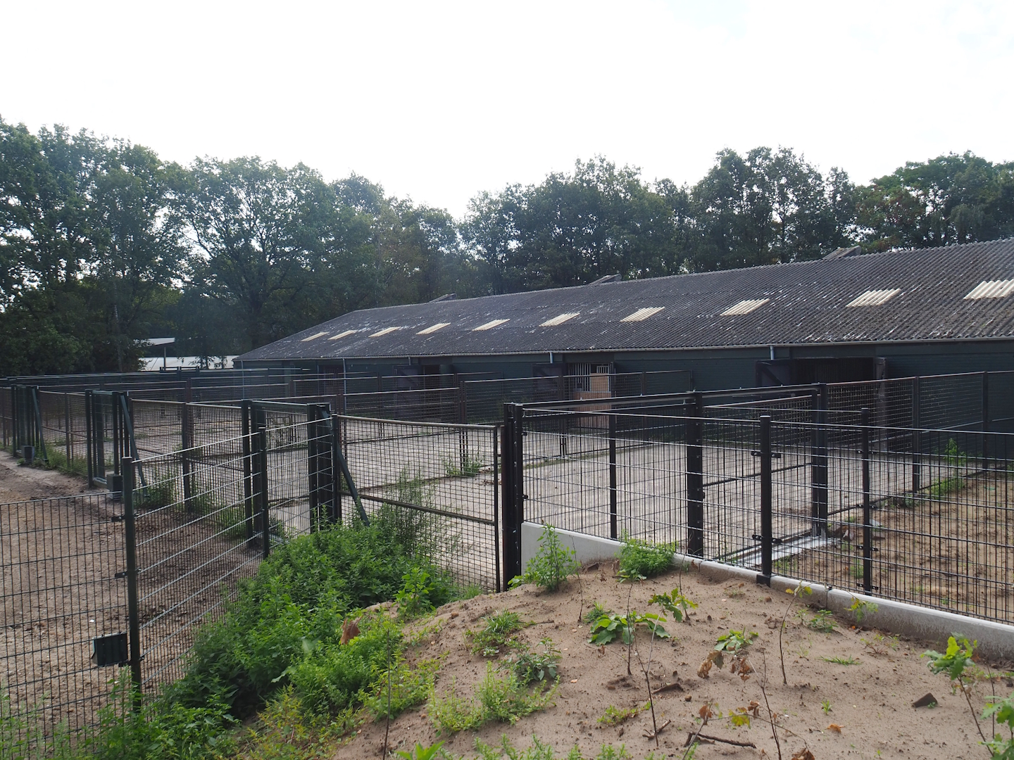 Savanna barn and hardstand holding paddocks, 2023-08-15