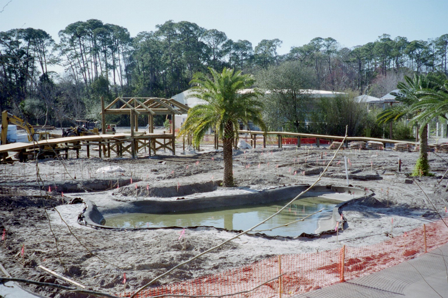 Savanna Blooms Under Construction