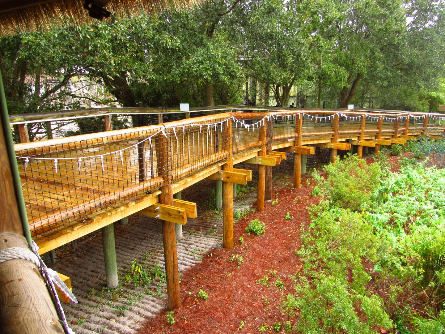 Savanna Blooms Updated Boardwalk