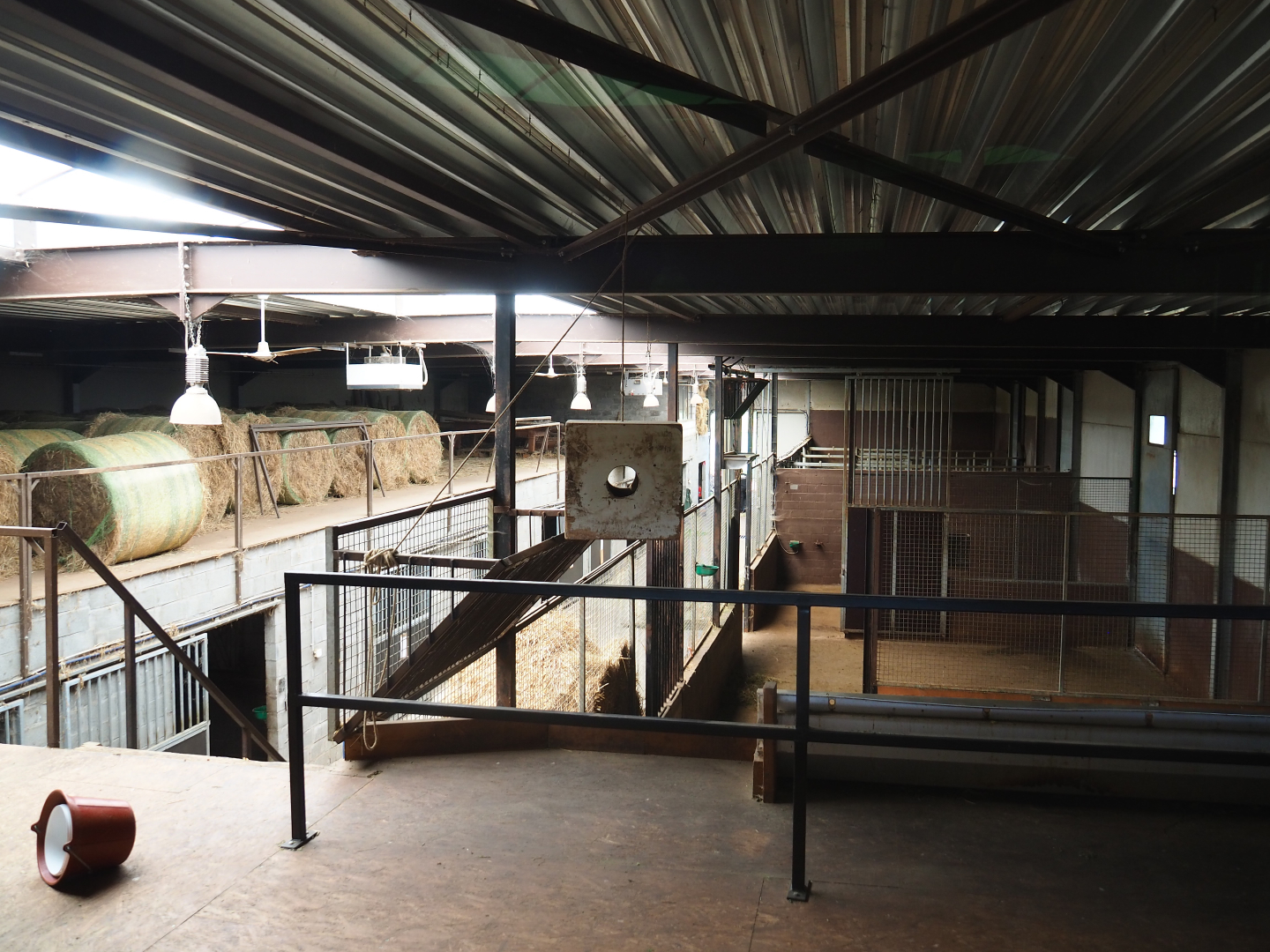 Savanna building with stables for savanna animals, 2019-08-04