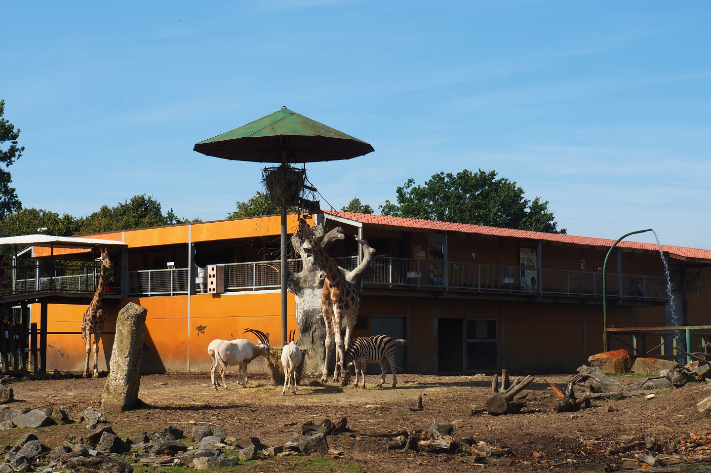 Savanna building with visitor walkway, 2019-08-04