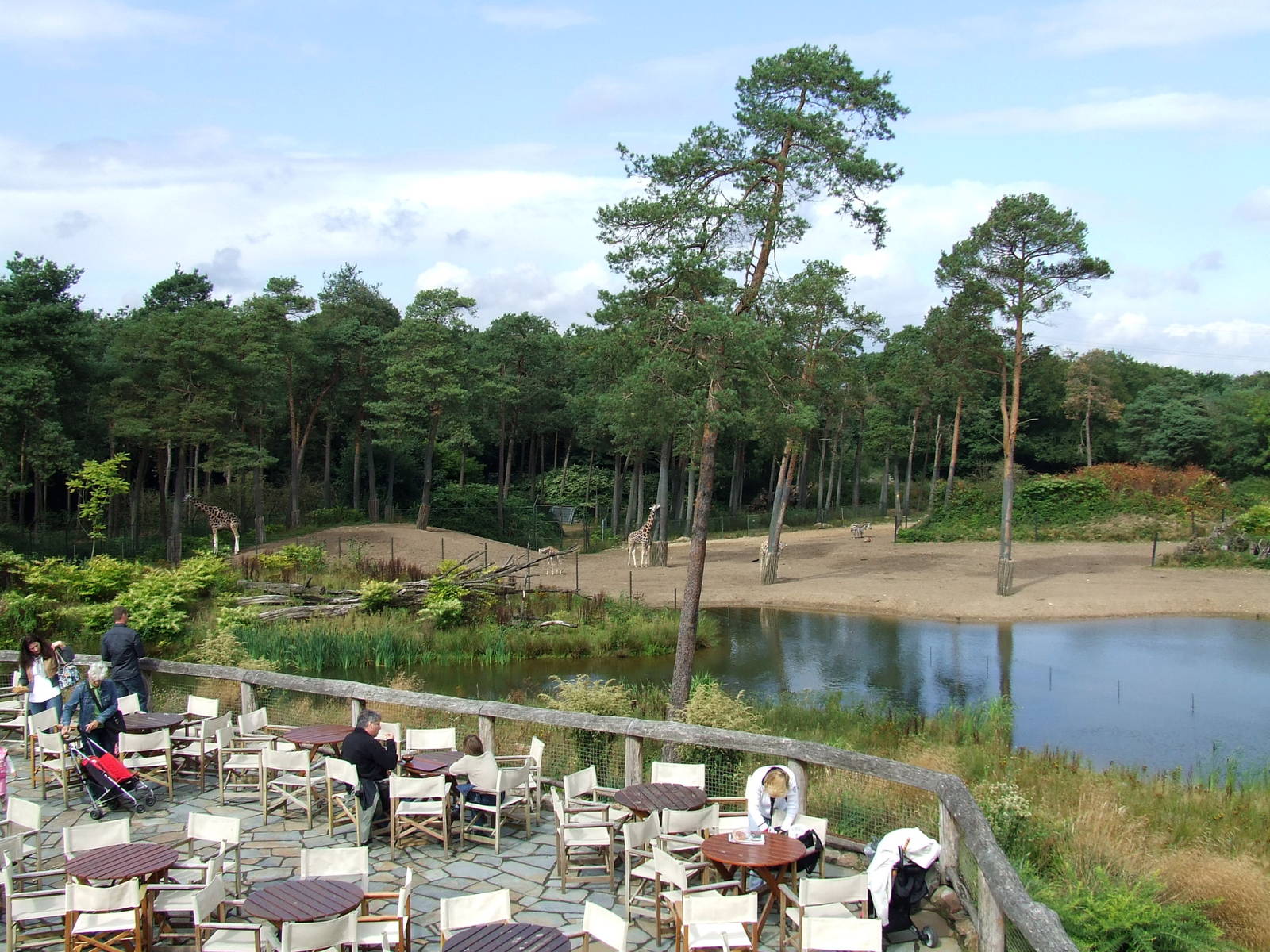 Savanna, Burgers Safari