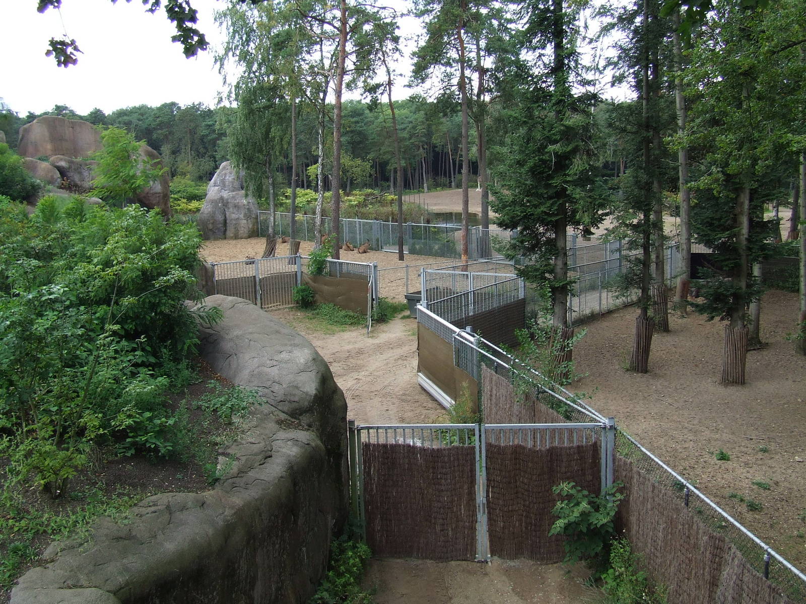 Savanna, Burgers Safari