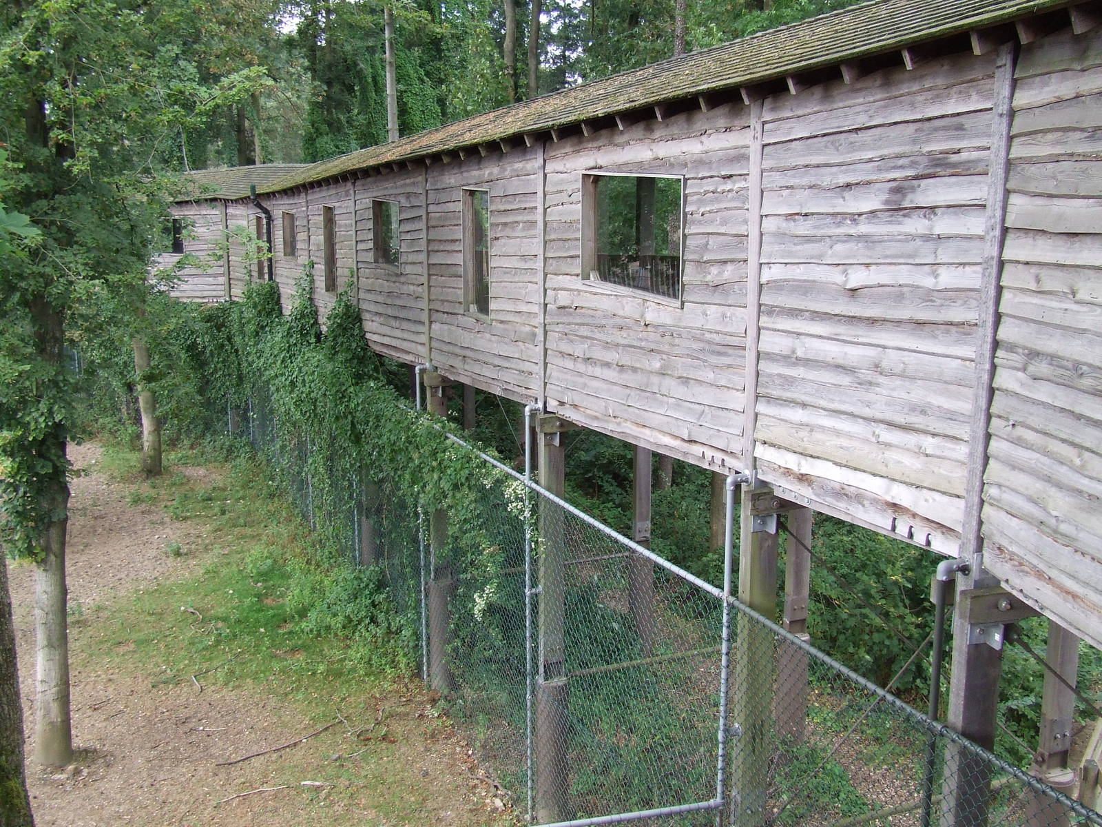 Savanna, Burgers Safari