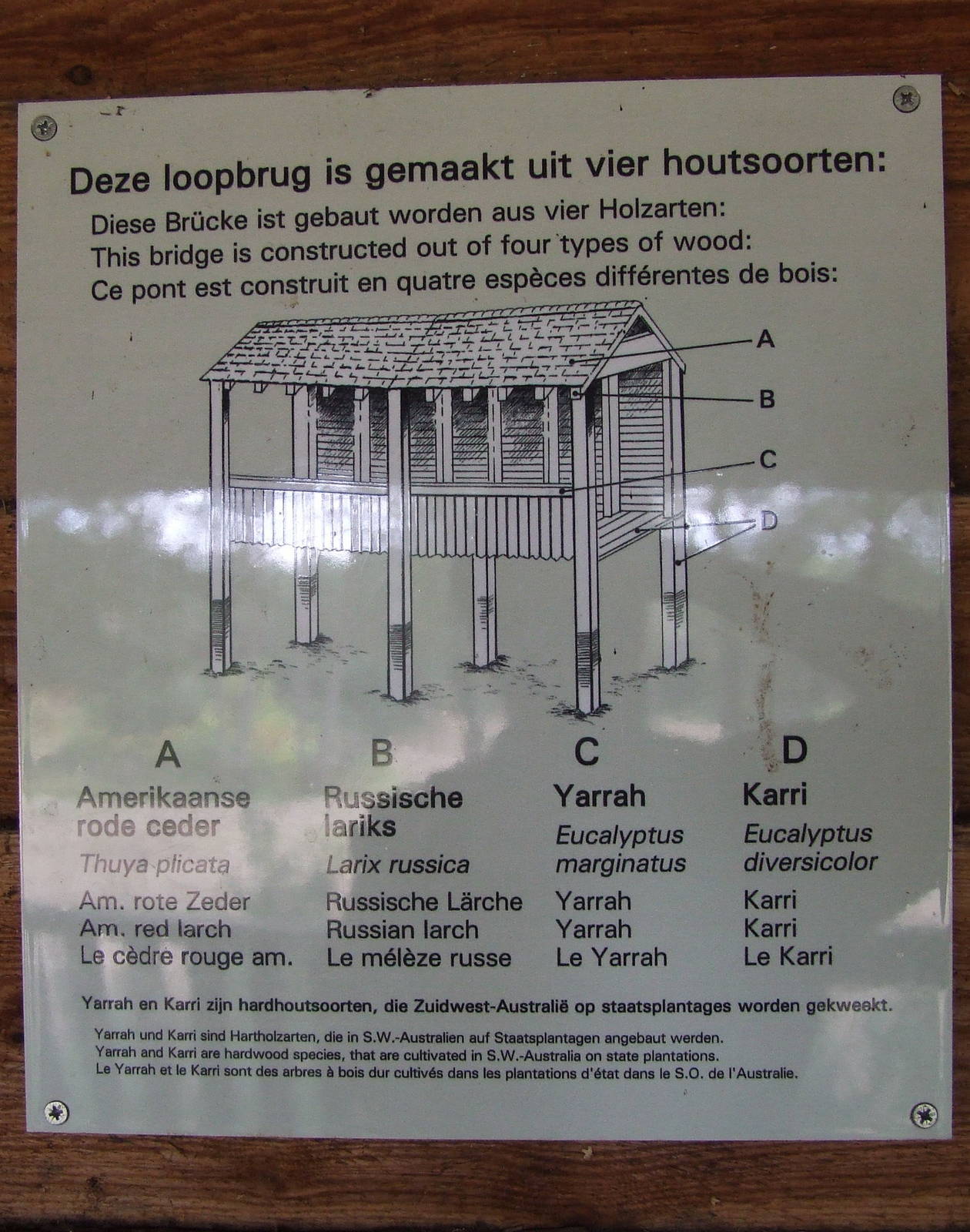 Savanna, Burgers Safari