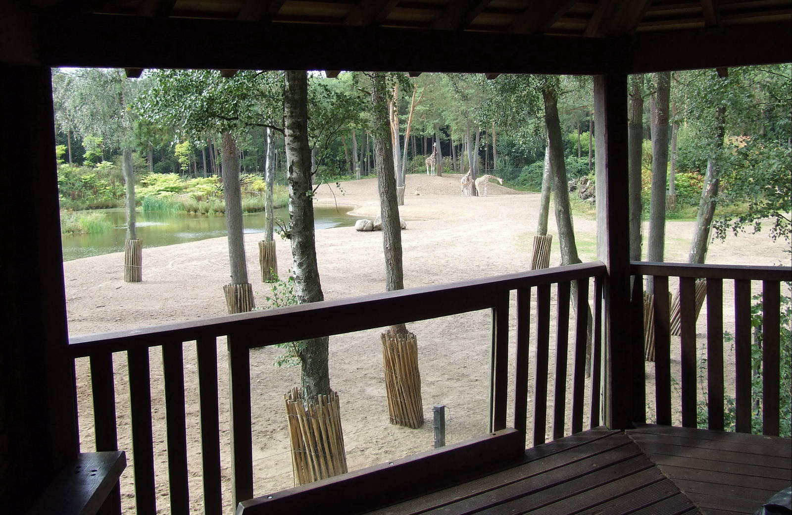 Savanna, Burgers Safari