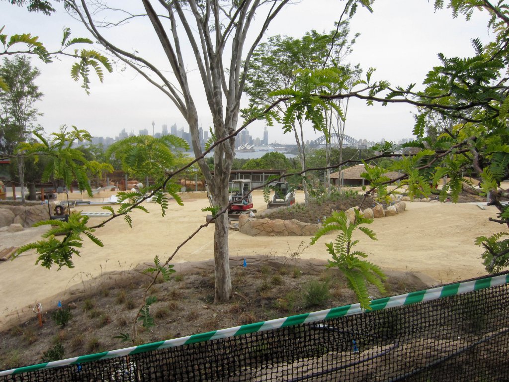 Savanna construction