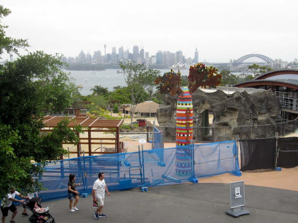 Savanna construction