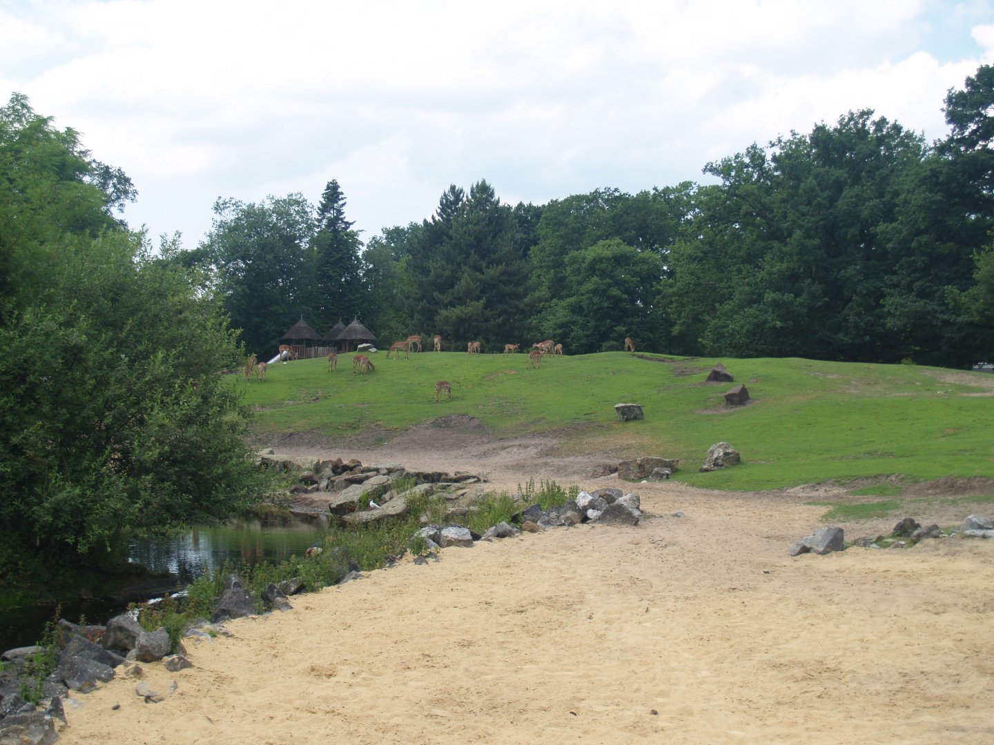 Savanna exhibit, 2006-07-08