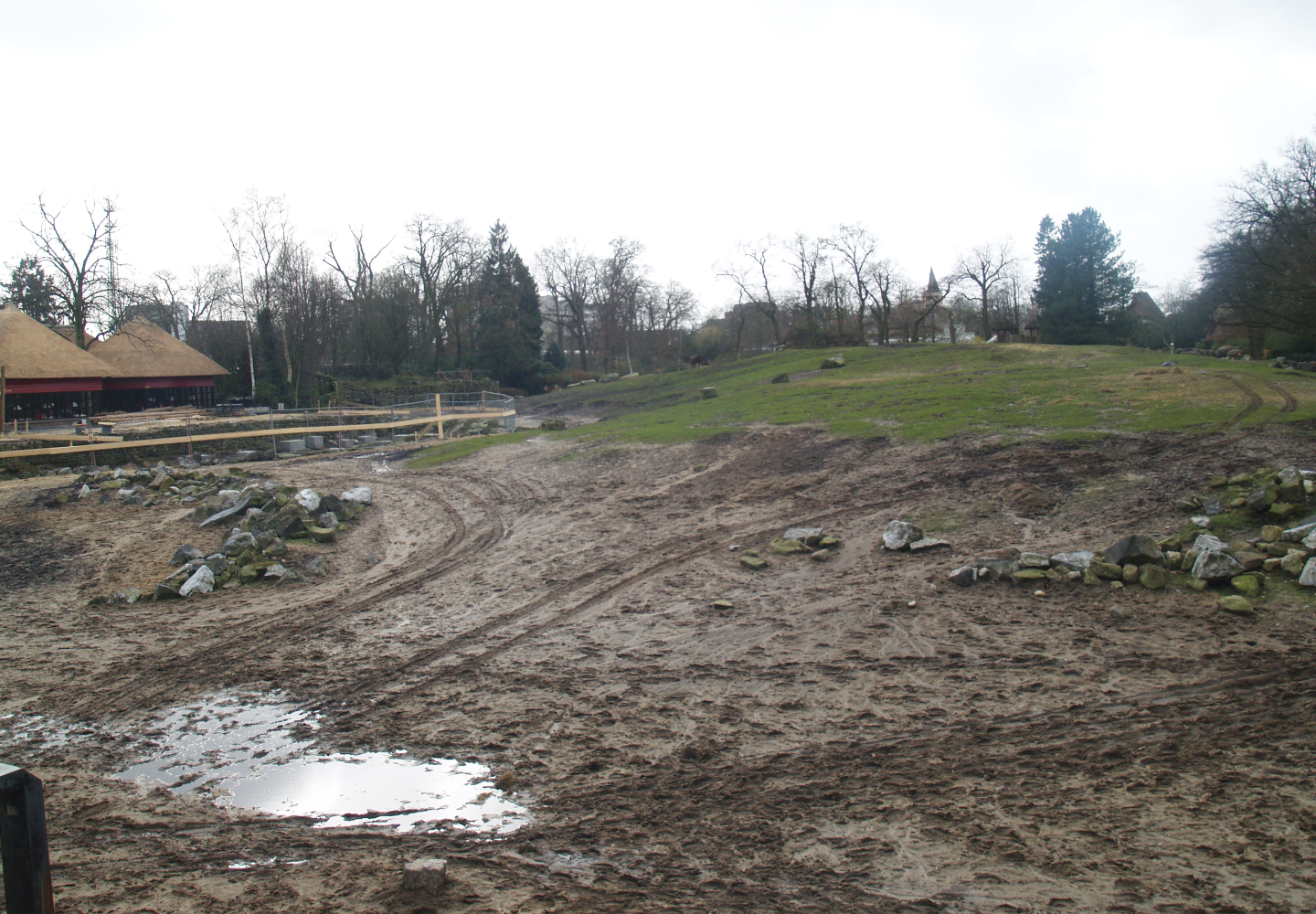 Savanna exhibit, 2008-03-01