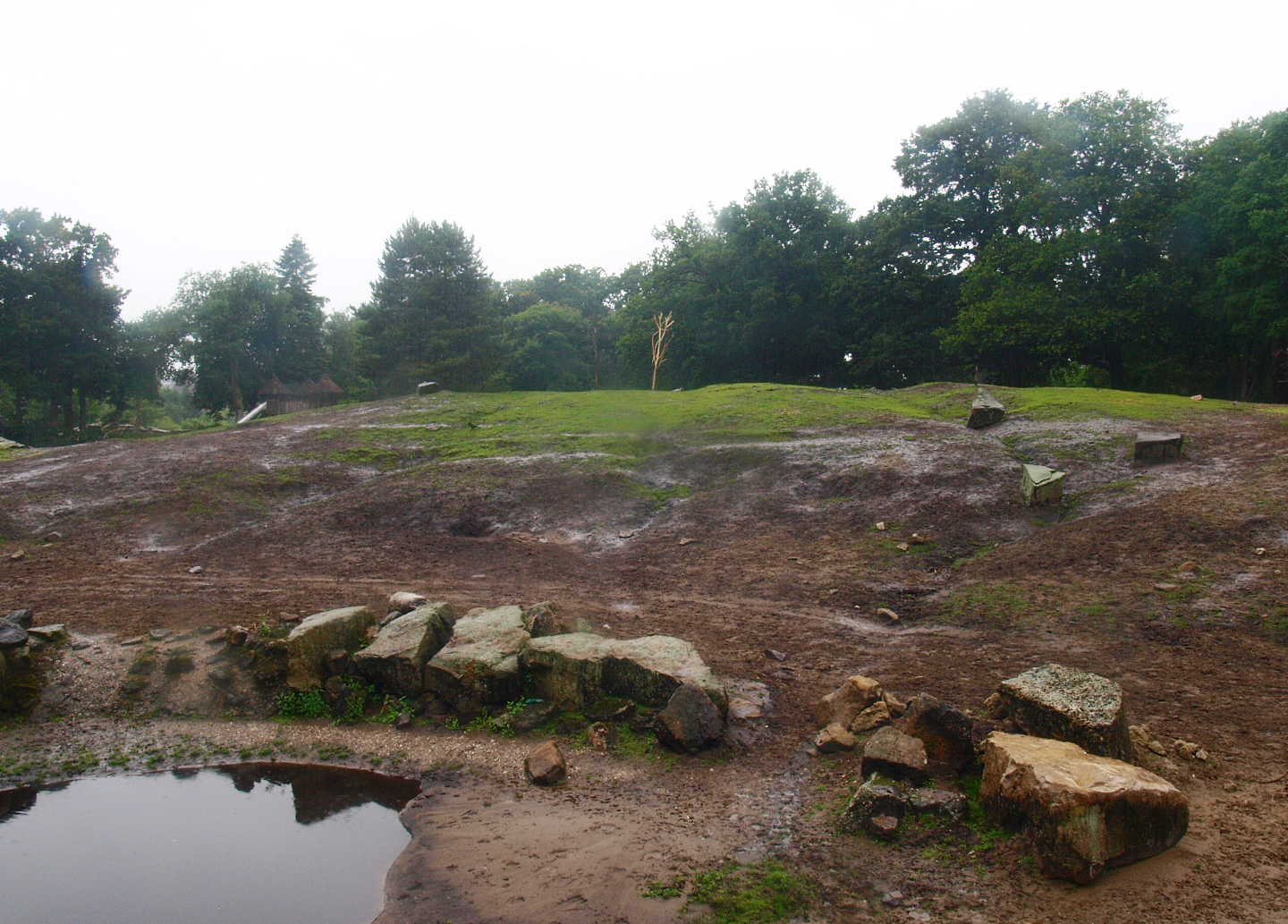 Savanna exhibit, 2015-07-19