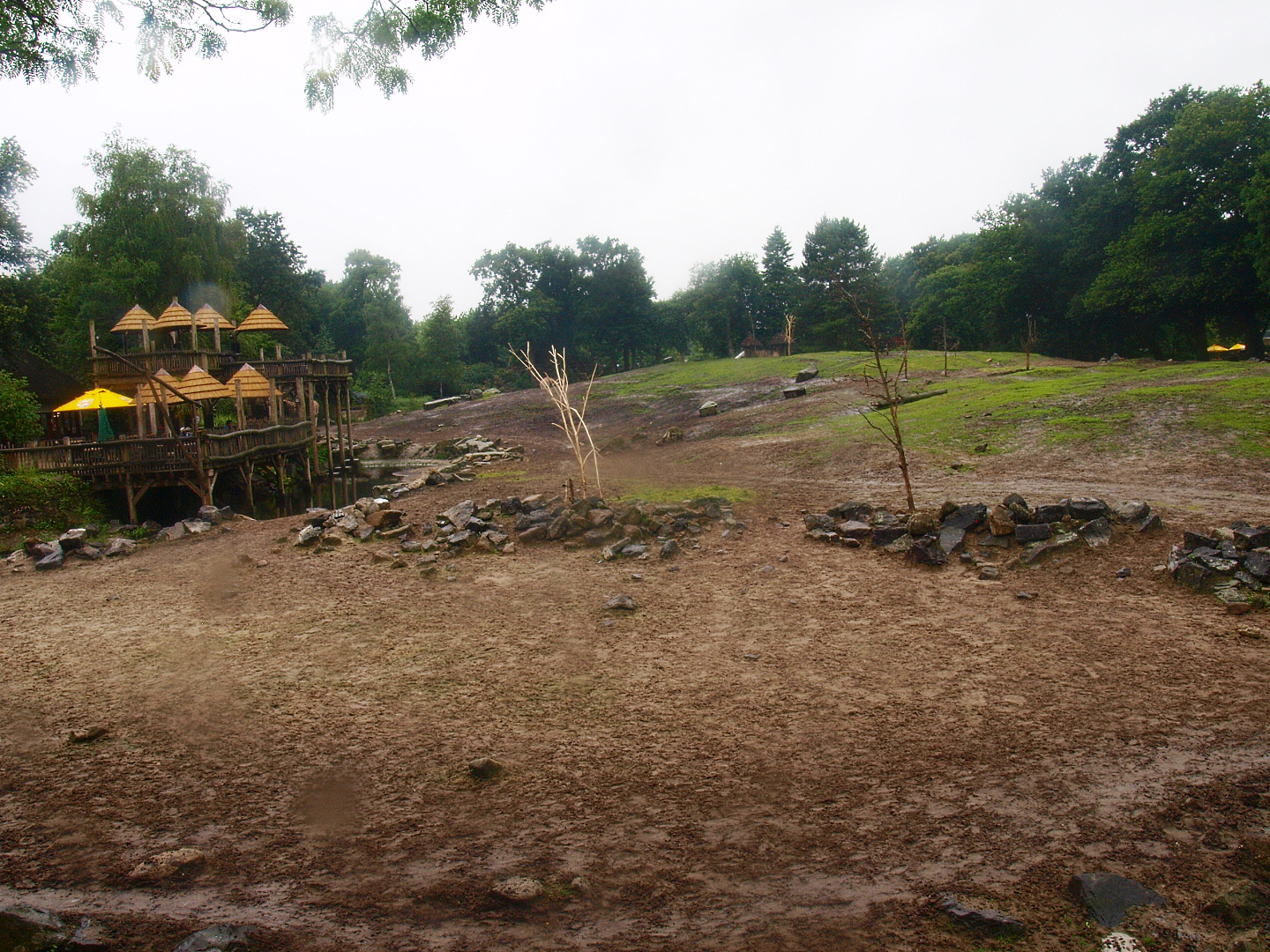 Savanna exhibit, 2015-07-19