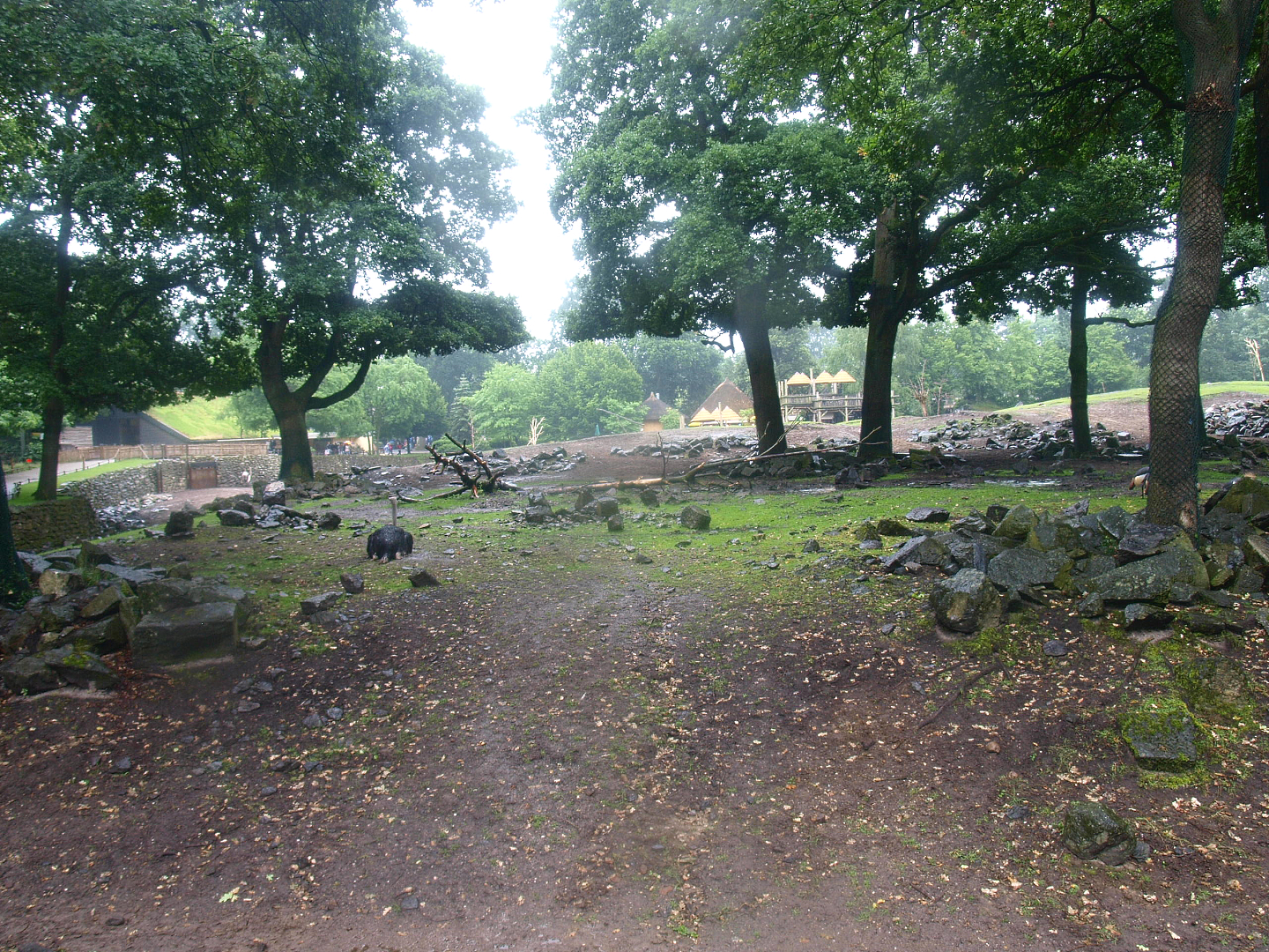 Savanna exhibit, 2015-07-19