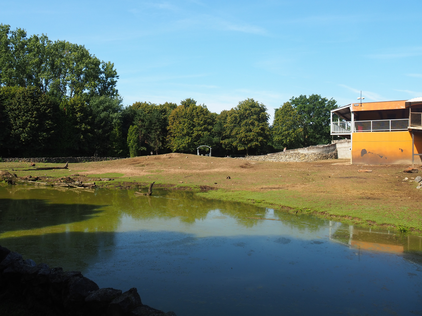 Savanna exhibit, 2019-08-04