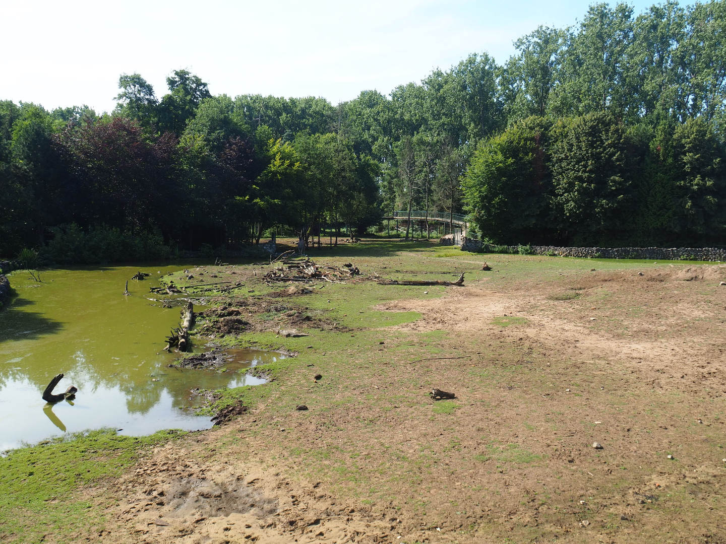 Savanna exhibit, 2019-08-04