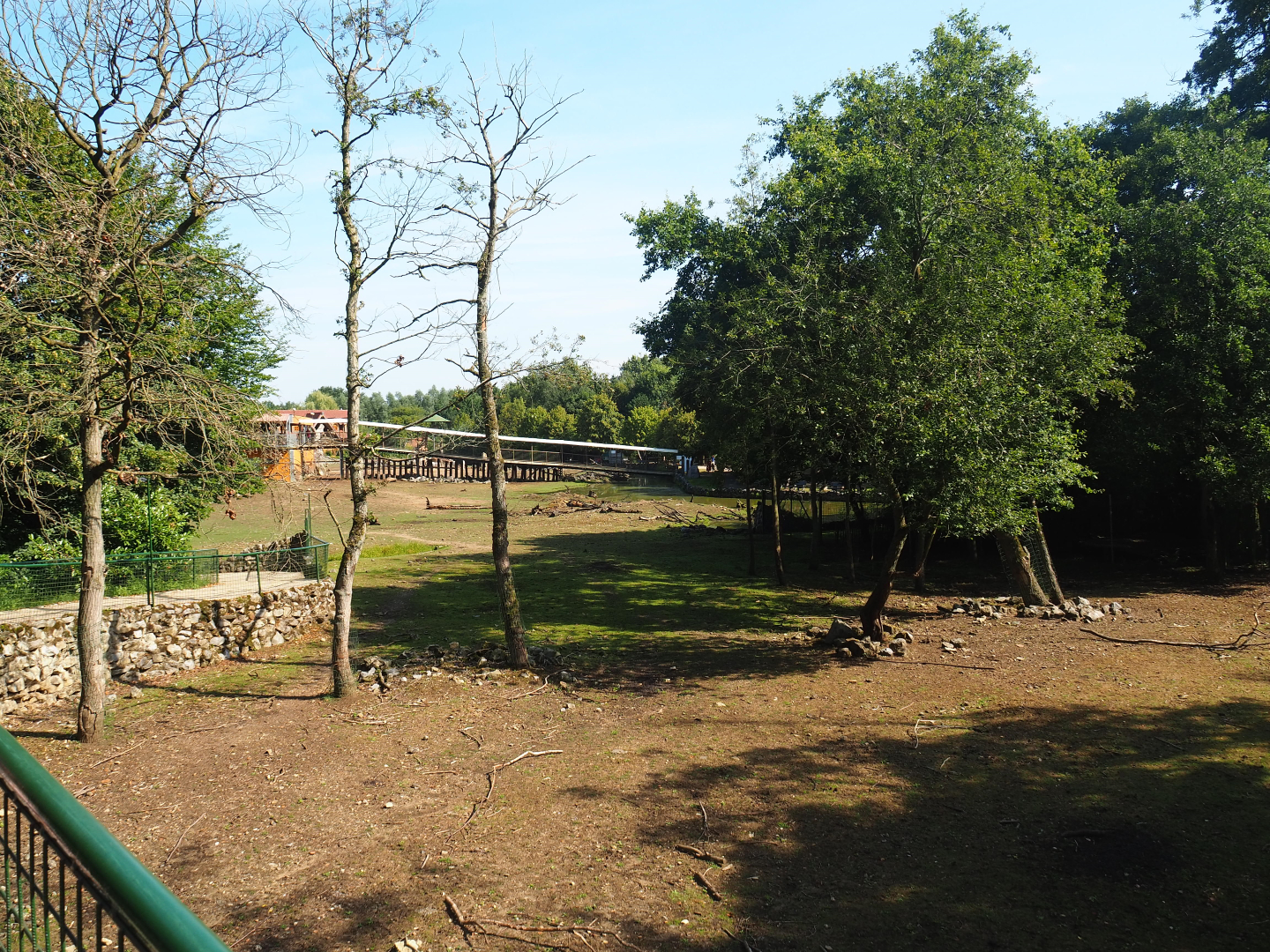 Savanna exhibit, 2019-08-04