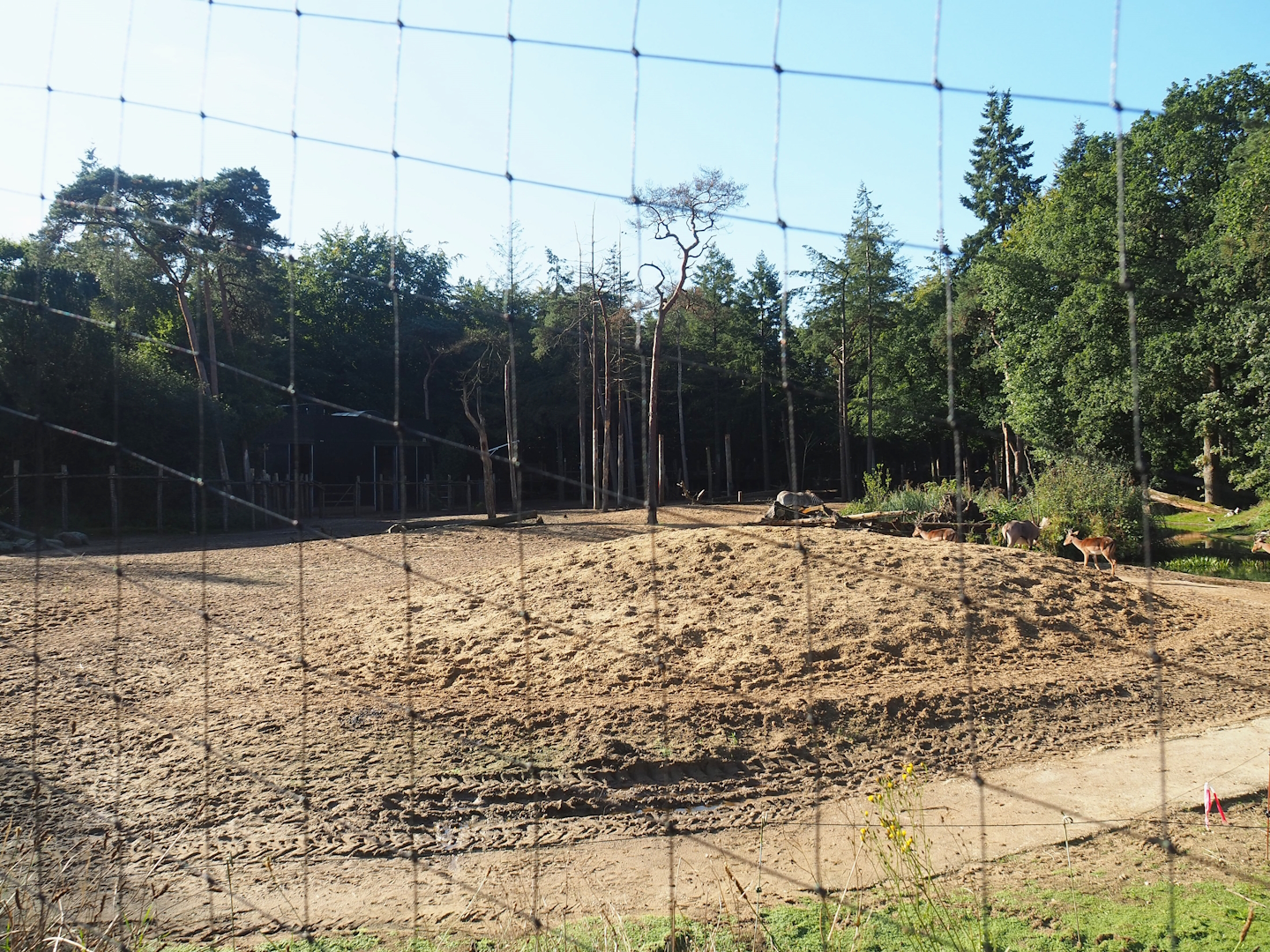 Savanna exhibit, 2023-09-24