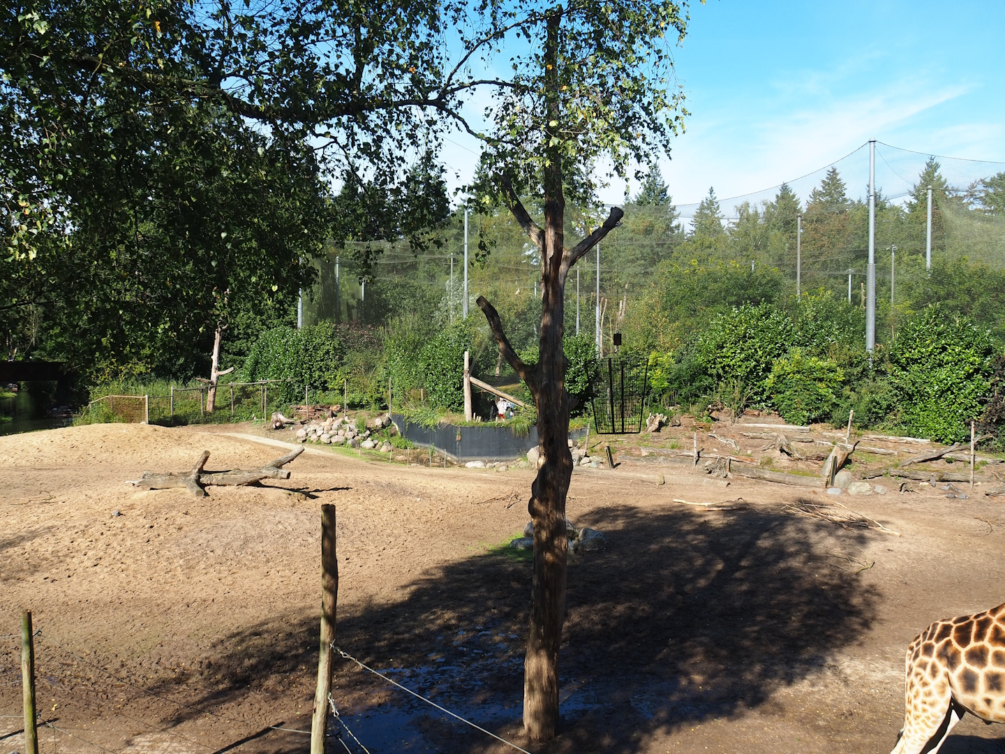 Savanna exhibit, 2023-09-24