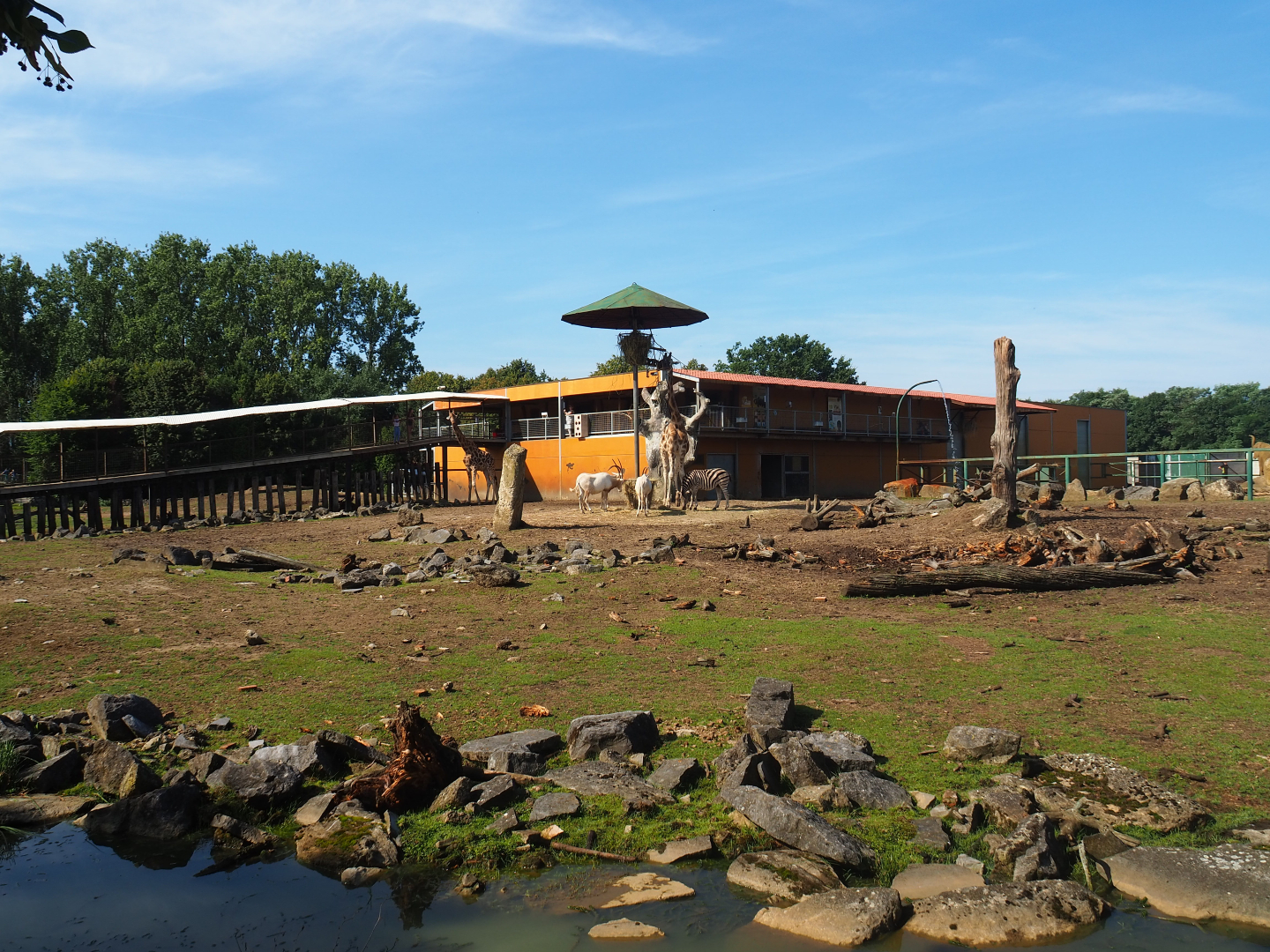 Savanna exhibit and savanna building with visitor walkway, 2019-08-04