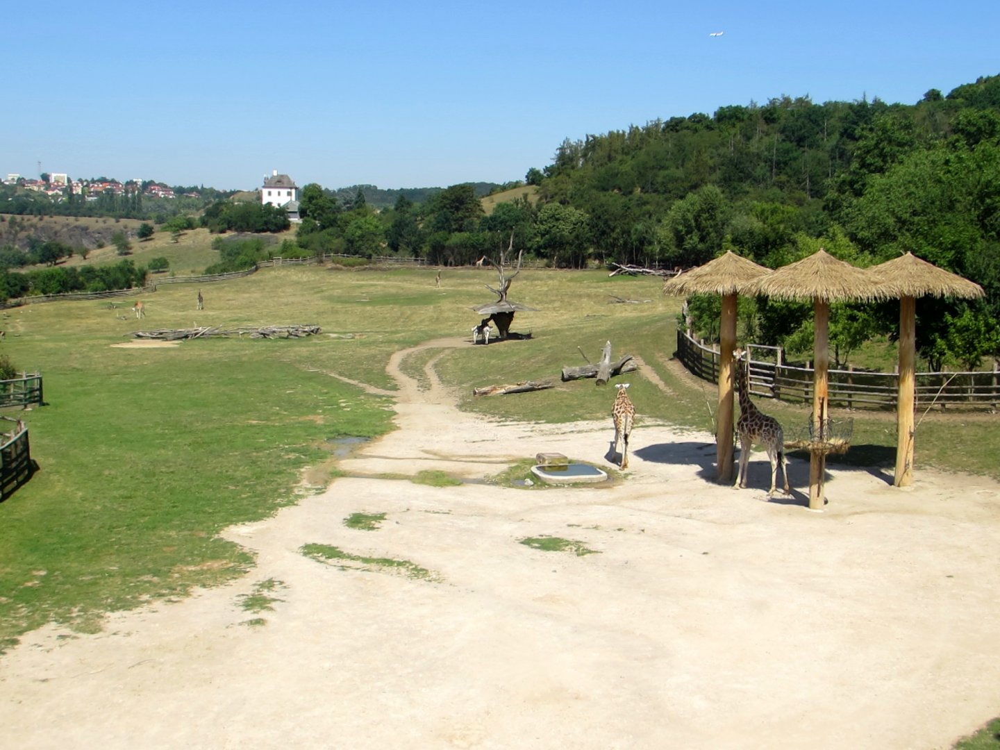 Savanna exhibit - July/2017