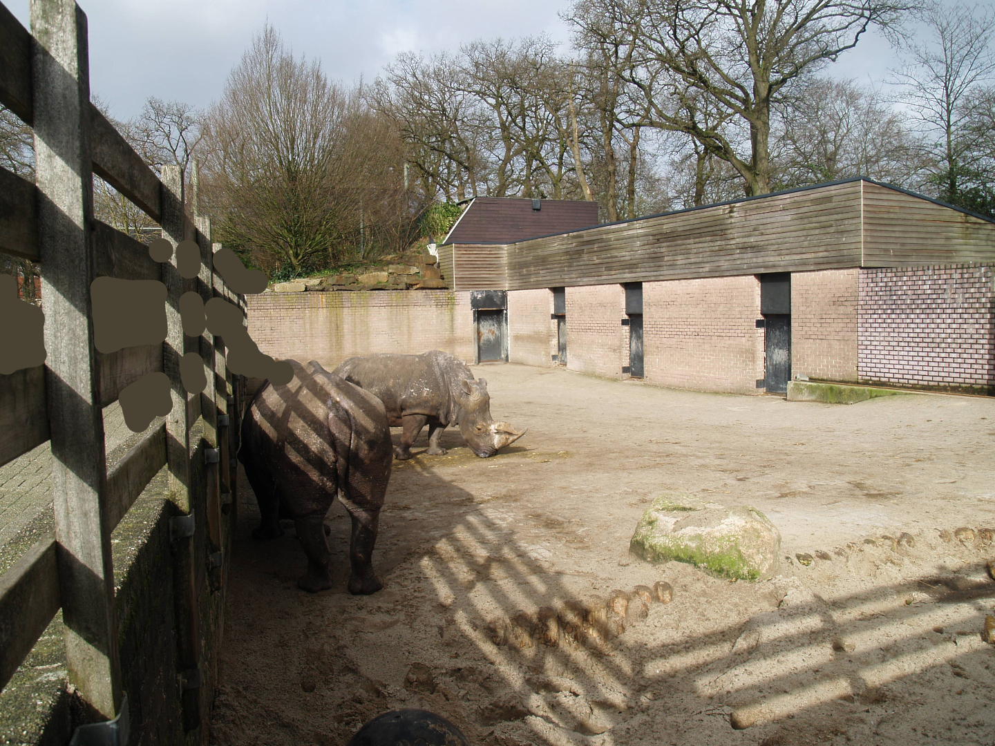 Savanna exhibit - Rhinoceros stable and side/separation yard, 2008-03-01