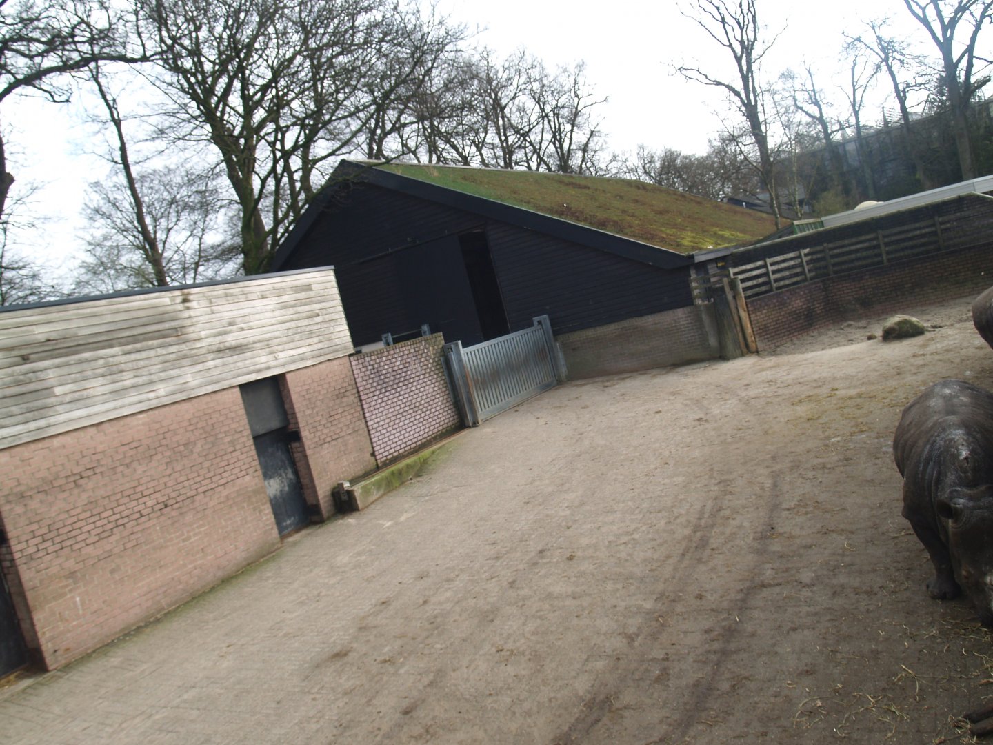Savanna exhibit stable buildings and side/separation yard, 2008-03-01