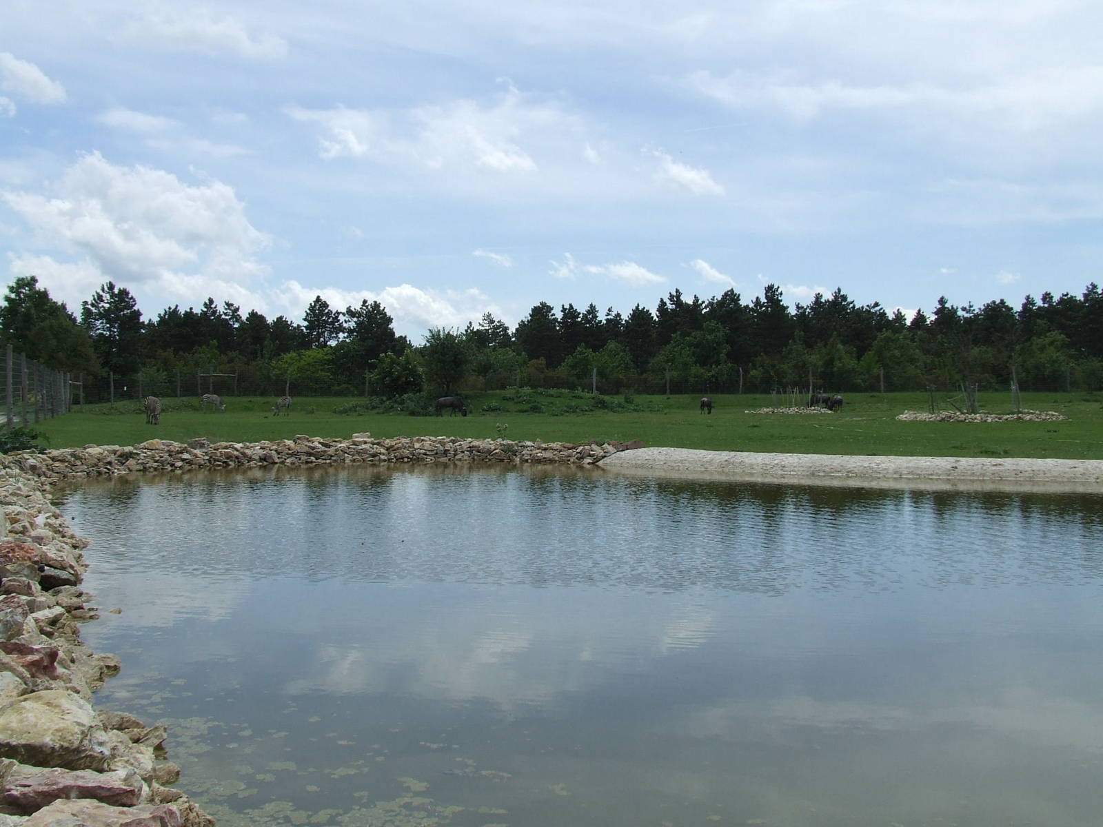 Savanna exhibit @ Veszprem Zoo, Hungary