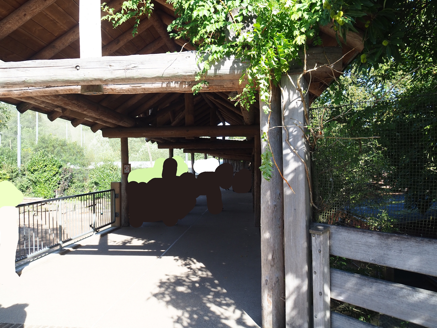 Savanna exhibit viewing area, 2023-09-24