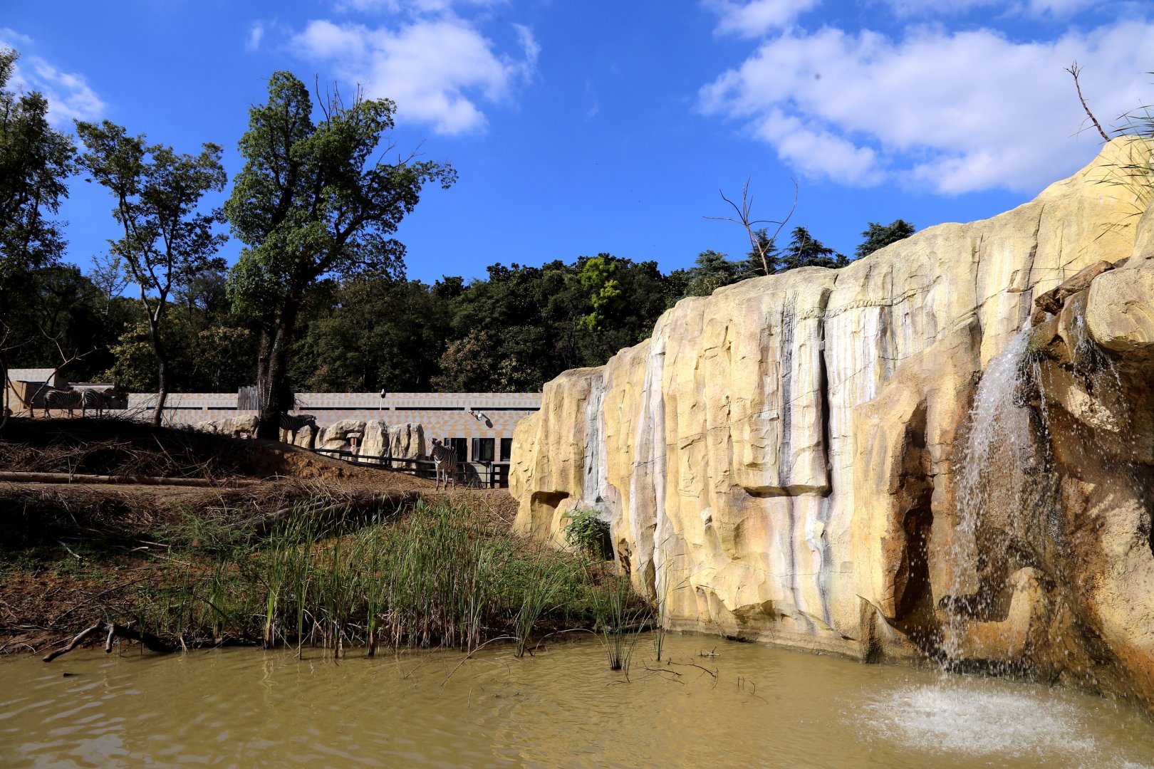 Savanna Exhibit, Waterhole