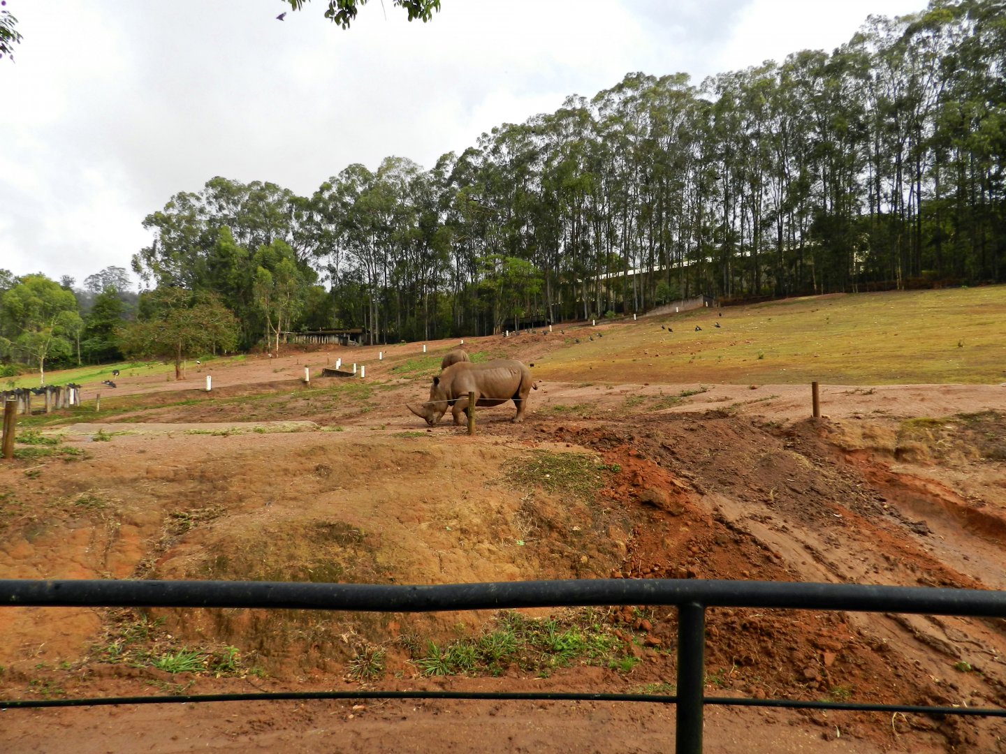 Savanna exhibit - Zooparque Itatiba